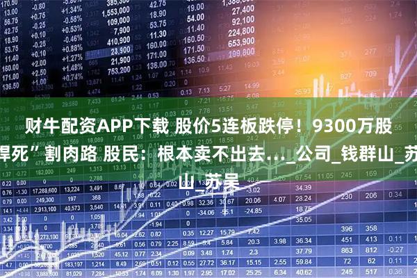 财牛配资APP下载 股价5连板跌停！9300万股“焊死”割肉路 股民：根本卖不出去…_公司_钱群山_苏吴