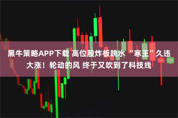 黑牛策略APP下载 高位股炸板跳水 “寒王”久违大涨！轮动的风 终于又吹到了科技线