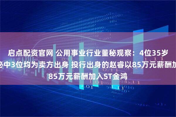 启点配资官网 公用事业行业董秘观察：4位35岁以下的董秘中3位均为卖方出身 投行出身的赵睿以85万元薪酬加入ST金鸿