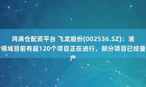 鸿满仓配资平台 飞龙股份(002536.SZ)：液冷领域目前有超120个项目正在进行，部分项目已经量产