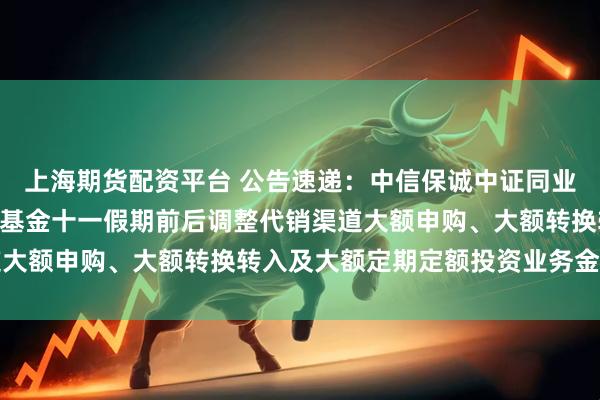 上海期货配资平台 公告速递:中信保诚中证同业存单AAA指数7天持有基金十一假期前后调整代销渠道大额申购、大额转换转入及大额定期定额投资业务金额限制