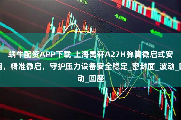 蜗牛配资APP下载 上海禹轩A27H弹簧微启式安全阀，精准微启，守护压力设备安全稳定_密封面_波动_回座